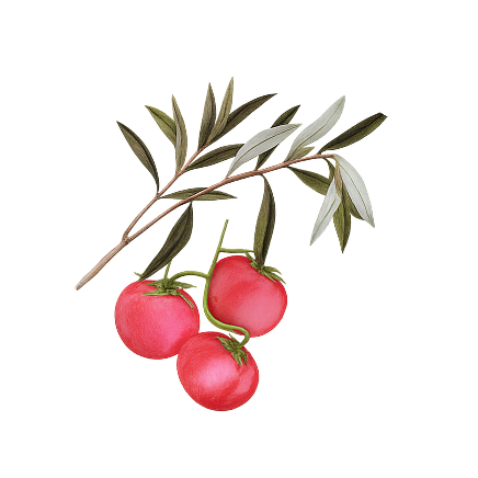 Plats raffinГ©s servis sur la terrasse