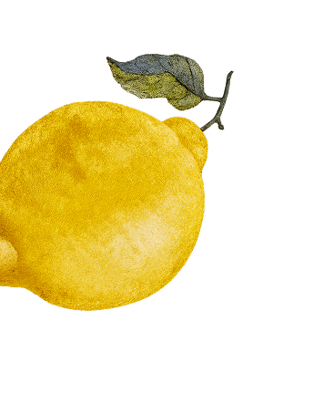 Cocktails colorГ©s O'Key Beach