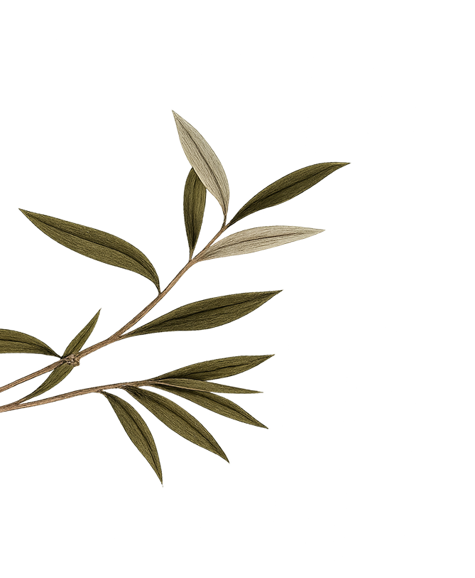 Ambiance de plage au coucher du soleil