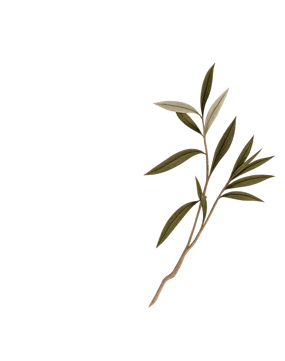 Service en extГ©rieur avec vue mer